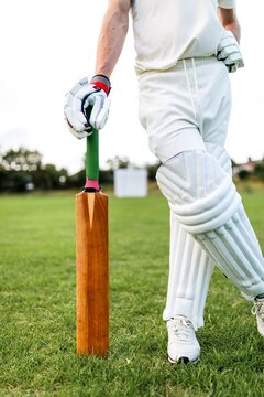 Cricket player ready stance photo