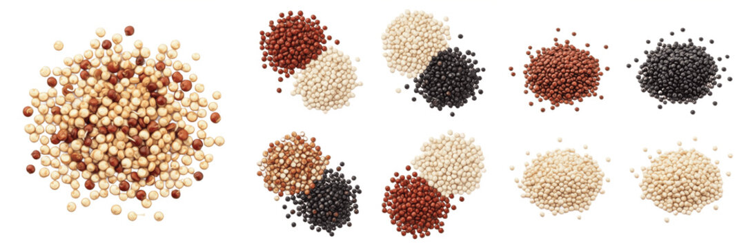 Quinoa Seeds (Chenopodium quinoa) White Red Black Quinoa Grain, Pseudocereal Superfood Seeds, High Protein Quinoa Isolated on White Background Macro