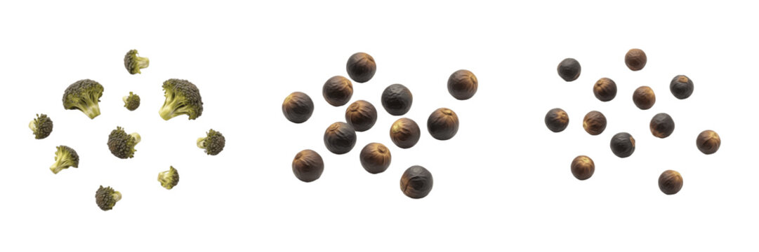 Jackfruit Seeds (Artocarpus heterophyllus) Large Edible Seeds, Jackfruit Kernel Seeds, Moraceae Fruit Seeds Isolated on White Background Macro Detail