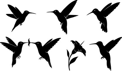 Obraz premium hummingbird silhouette vector illustration svg file 