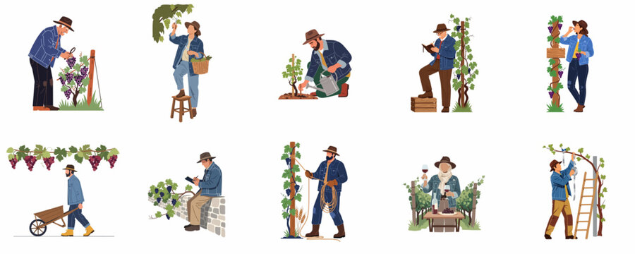 Set of flat vector illustrations of vineyard workers and winemakers performing various tasks such as harvesting, planting, and wine tasting in a vineyard.