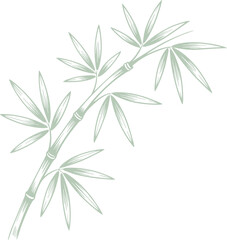 Obraz premium Line Art Illustration Of Bamboo Stalk With Leaves In Pale Green On Black