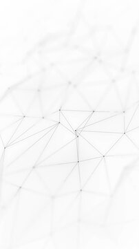 Explore a complex abstract plexus network divided into four frames showcasing various structures and connections in a simple format