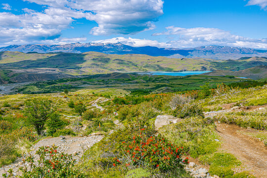 A scenic overlook showing a vibrant turquoise lake nestled between hills, with red Chilean Firebushes (Notro) in the foreground.