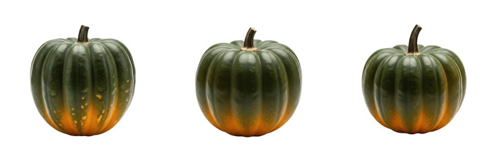 Acorn squash (Cucurbita pepo) ribbed green winter squash vegetable isolated on white background, fresh acorn produce © SultanRahi