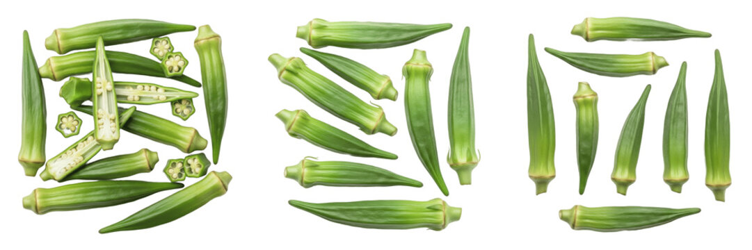 Okra pods (Abelmoschus esculentus) green ridged vegetable isolated on white background, lady finger produce