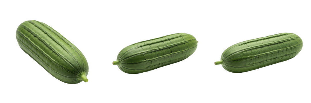 Ridge gourd (Luffa acutangula) ridged green vegetable isolated on white background, angled luffa produce