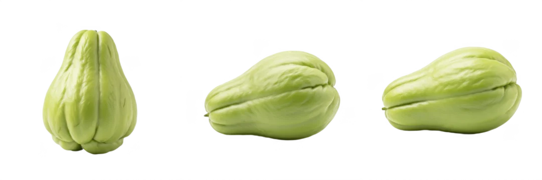 360_F_1966263080_xmXfQovmQjs0z