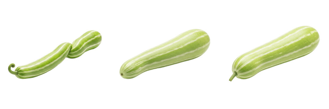 Snake gourd (Trichosanthes cucumerina) long twisted green vegetable isolated on white background, serpent gourd produce