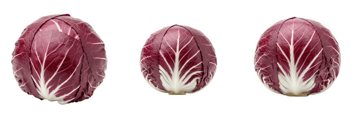 Radicchio (Cichorium intybus var. foliosum) red leafy head vegetable isolated on white background, Italian chicory produce