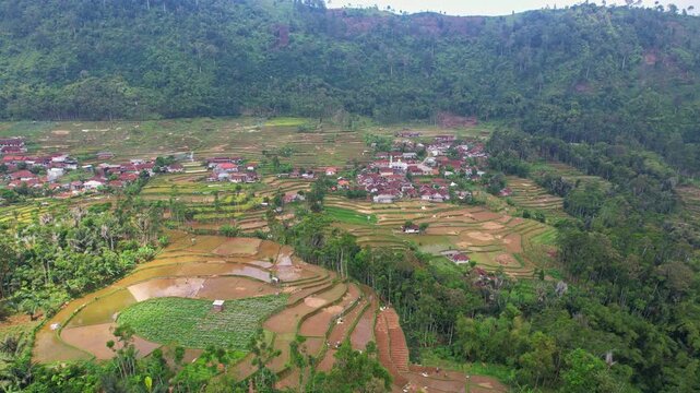 Aerial drone footage of Girimukti, Pasirkuda, Cianjur regency, Java island, Indonesia, with local village on the plateau, muddy terrace rice field plantations, in a beautiful valley and forests