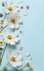 Fototapeta premium White flowers cascade down a soft blue background scattered petals