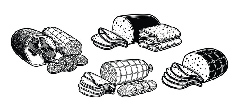 Salami and meat products set vector engraving illustration of sausage varieties.
