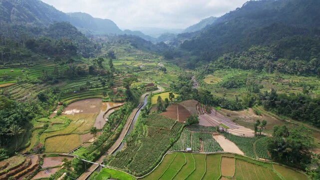 Aerial drone footage of a beautiful terrace rice fields valley, with a water irrigation canal, a river, and forest mountains, border between Cianjur regency and Bandung regency, Java island, Indonesia
