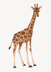 Obraz premium Giraffe collage element, cute animal illustration