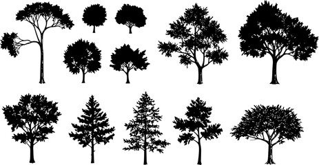 Fototapeta premium Detailed Vector Set of Diverse Tree Silhouettes: Black and White Illustration of Various Forest, Park, Deciduous, and Conifer Trees for Design