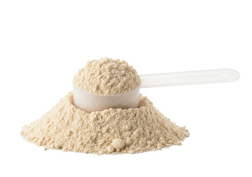 White scoop in a mound of beige whey protein powder isolated on a white background with ample copy space. Sports nutrition and wellness concept