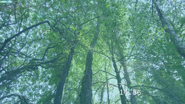 Canopy hosting overlays after sun shafts shifting, icons pulsing, readouts sliding, showing CO