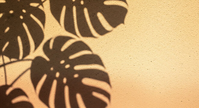 Wildlife safari design featuring a seamless pattern of black striped zebra and spotted leopard skin textures on wild animal fur