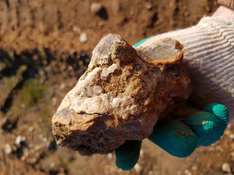 Gloved hand presents a fascinating rough flint concretion, boasting sparkling quartz crystals unearthed during a geological hike