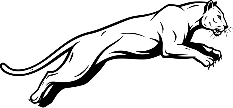 Powerful Jumping Cougar  Panther Vector Illustration. Dynamic Black  White Wild Cat Mascot in Leaping Action, Ideal for Sports Logos  Athletic Designs.