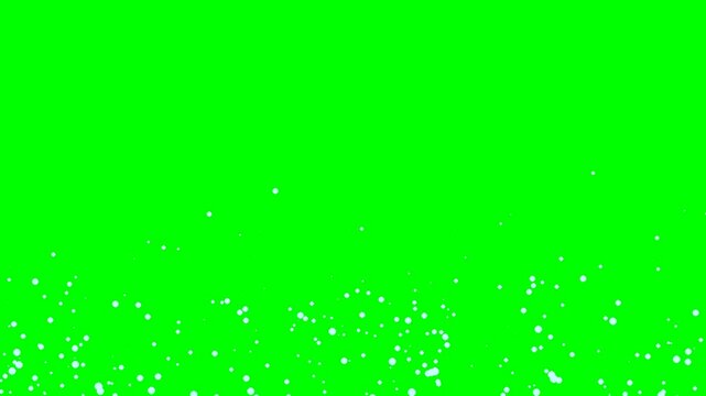 Realistic Water Bubbles Rising on Green Screen
