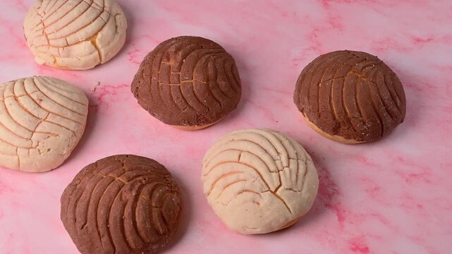 Mexican sweet bread conchas with chocolate and vanilla crust on pink background