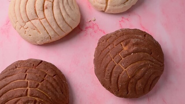 Pattern of chocolate and vanilla shells, Mexican conchas