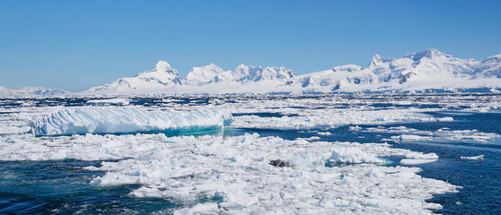 Wide view of icy waters with scattered icebergs and snow-covered mountains in Antarctica © HABI ANGGARA PUTRA