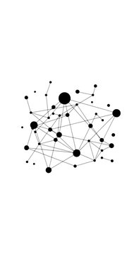 Network connections form a complex web structure