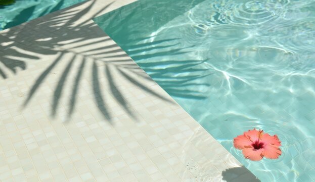 Sunlit turquoise pool water with tropical leaf shadows and a floating pink flower beside a pale pool edge, capturing luxury resort ambiance, summer relaxation, minimal travel background, and calm desi