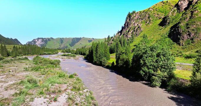 Aerial view of a wide river flowing through a lush green valley with pine forests in Xinjiang, China.