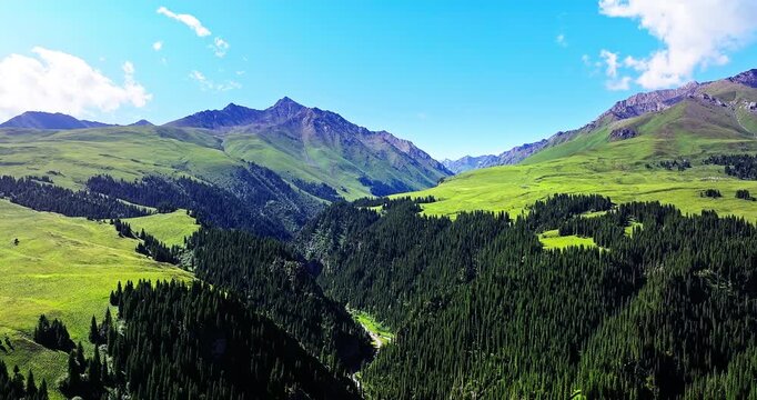 Aerial view of a lush green valley with dense forests and majestic mountain ranges in Xinjiang, China.