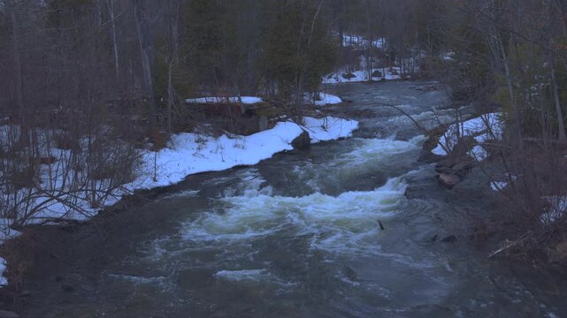 A flowing river in a spring forest