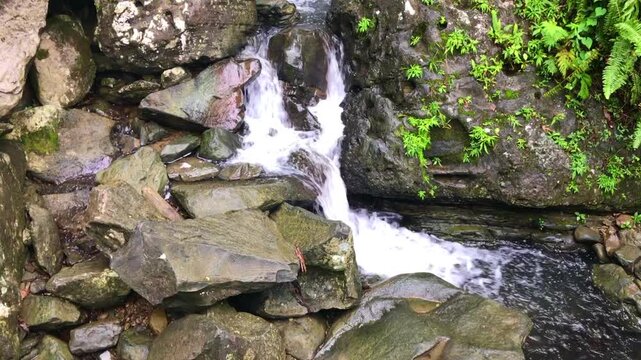 Hand held shot of a small stream of water flowing through rocks below a waterfall in El Yunque.
