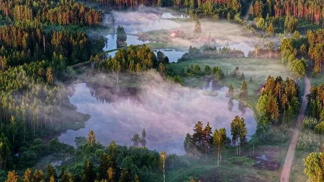 Aerial view of a mist-covered lake nestled within a dense, evergreen forest