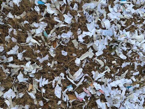 Scattered shredded paper bomb pieces on dry brown grass field outdoors