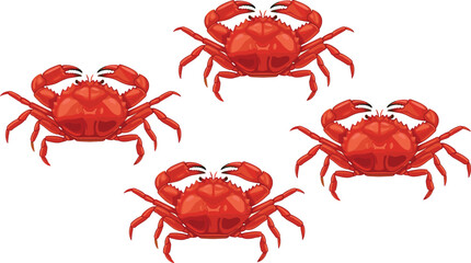 Red crab seafood collection with multiple crabs isolated detailed marine animal vector illustration set © Sumon Creative