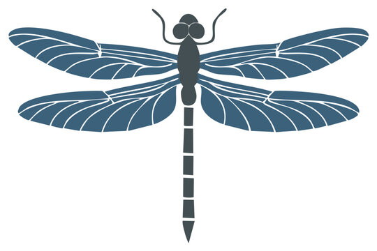 Stylized dragonfly illustration with detailed blue wings and segmented body for design and graphic projects.