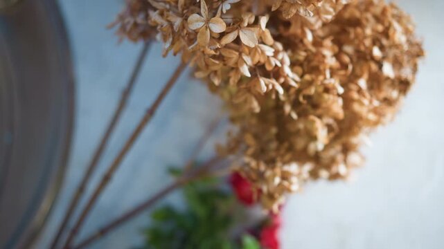 Tranquil garden with earthy tones. Soothing arrangement of dried flowers blended with fresh herbs. Relaxing ambiance created by dried hydrangeas intertwined with lively mint in rustic pottery