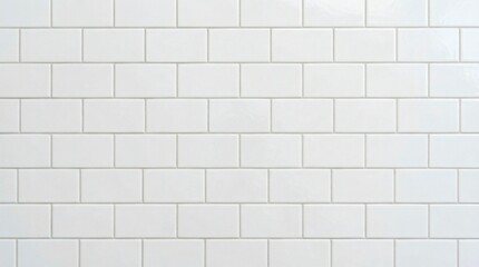 Fototapeta premium White ceramic subway tile wall pattern with home decor with graphic resource