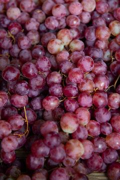 Allison grapes on display at a food market