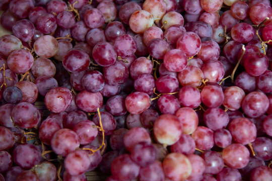 Allison grapes on display at a food market