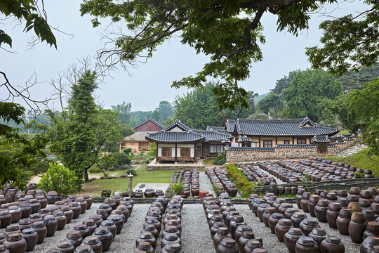 Traditional Korean earthenware jars in a hanok courtyard with historic architecture