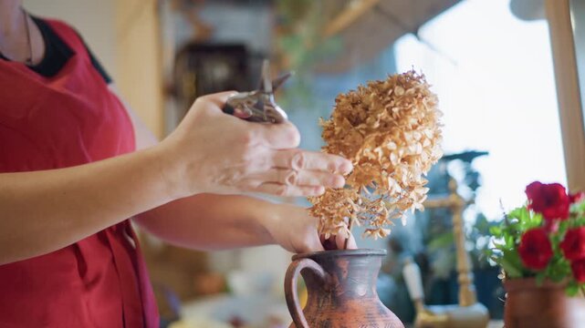 Home cook trimming dried hydrangea stems over terracotta jug, arranging floral centerpiece with scissors, rustic kitchen backdrop with pumpkins and potted herbs, mindful creative routine
