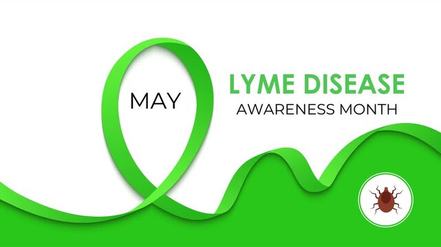 Motion graphics of Lyme Disease Awareness Month with tick icon and minimal green healthcare design. Medical awareness video illustrating tick-borne disease with flat icons and calm color palette.