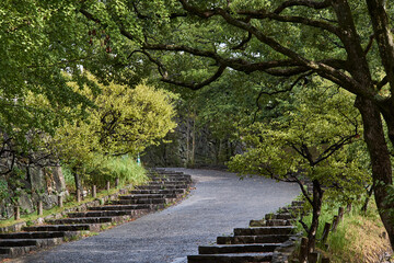 Fototapeta premium Peaceful historic park and castle grounds with mature trees, paths and garden landscape