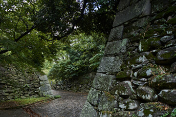 Fototapeta premium Peaceful historic park and castle grounds with mature trees, paths and garden landscape