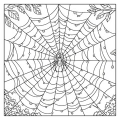 Obraz premium A spider sitting in the center of a large cobweb