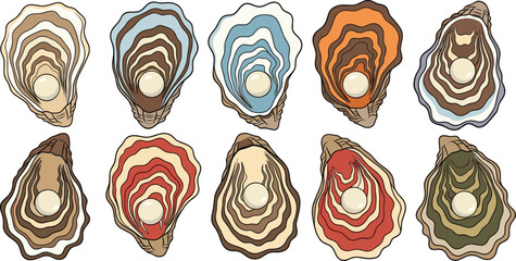 Natural oyster shell variations with layered textures and pearls detailed seafood vector illustration collection © MdMojnu